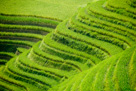 Paysages