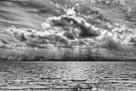 Paysages